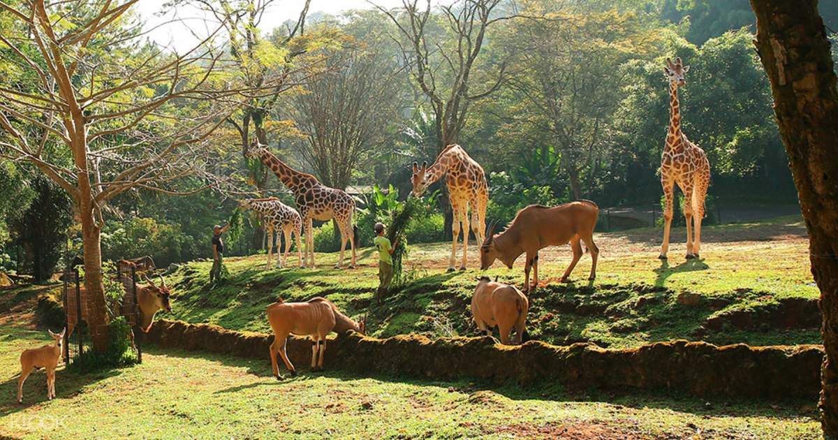 safari world garden
